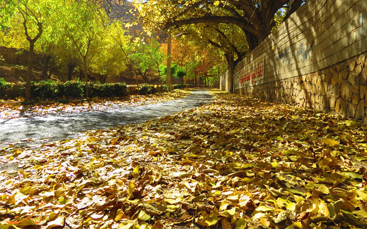 شهمیرزاد شهمیرزاد