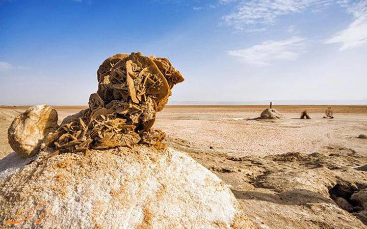 کوت ال جرید کوت ال جرید
