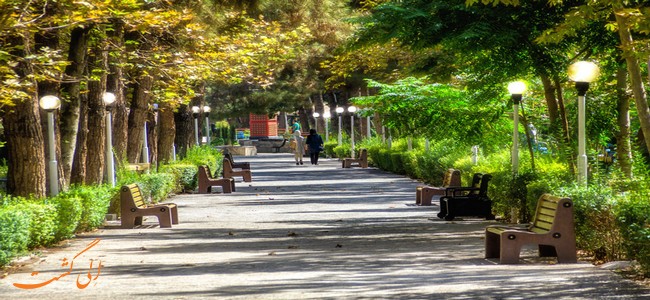 پارک ساعی پارک ساعی