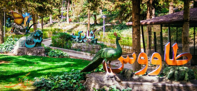 پارک ساعی در تهران پارک ساعی در تهران