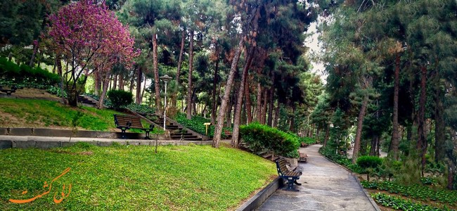 عکس پارک ساعی عکس پارک ساعی