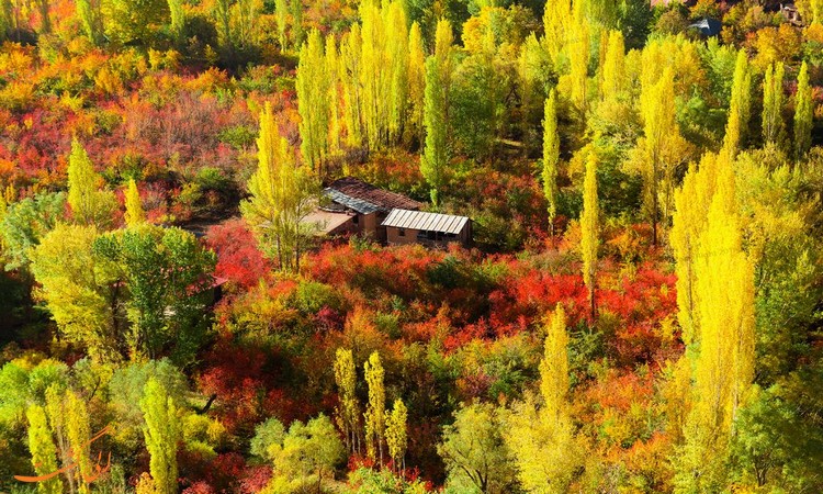 عکس های روستای شهرستانک عکس های روستای شهرستانک