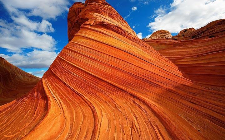 موچ در آریزونا آمریکا موچ در آریزونا آمریکا