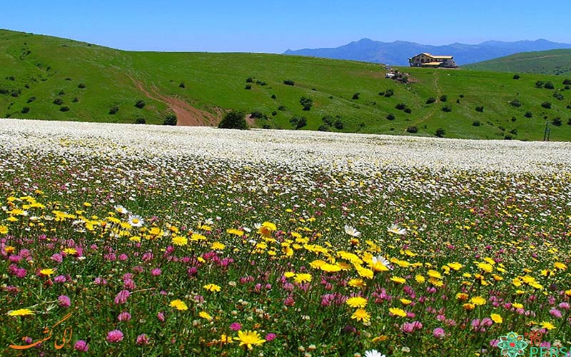 جنگل فندقلو از جاذبه های اردبیل جنگل فندقلو از جاذبه های اردبیل