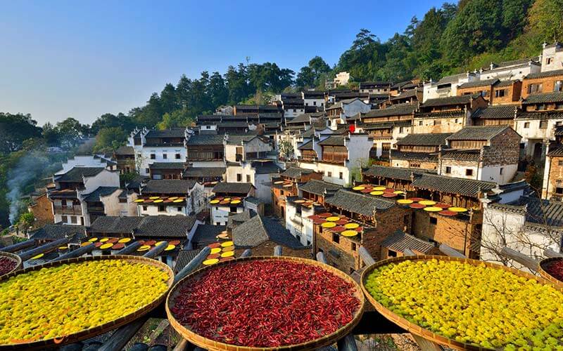 غذاهای روستایی غذاهای روستایی