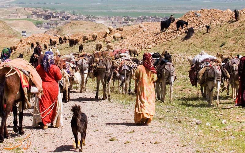 قشقایی قشقایی