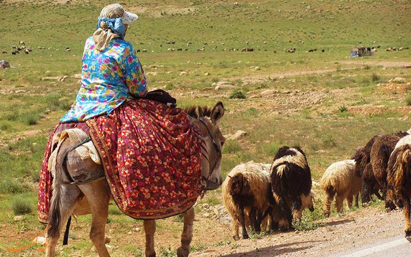 ایل قشقایی ایل قشقایی