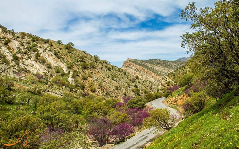 تنگه ارغوان تنگه ارغوان