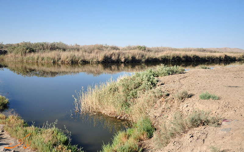 تالاب تالاب