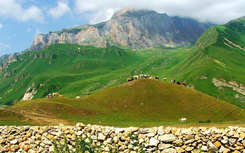 بشبارمگ بشبارمگ