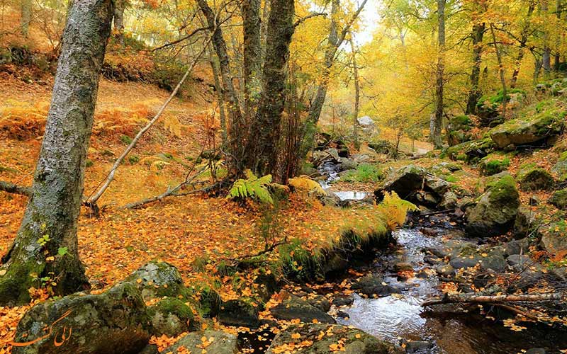 طبیعت پارک Canencia طبیعت پارک Canencia