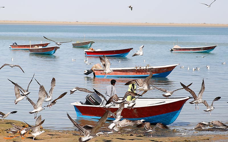 خلیج گواتر در چابهار خلیج گواتر در چابهار