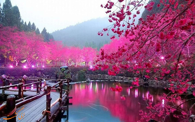 سفر به ژاپن سفر به ژاپن
