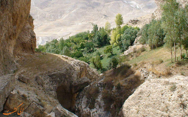 گونه های گیاهی سرخ آباد گونه های گیاهی سرخ آباد