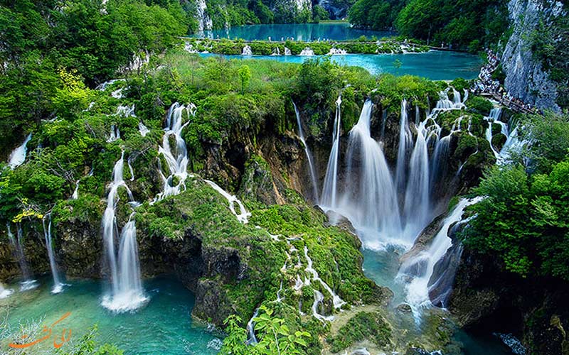 طبیعت سورینام طبیعت سورینام