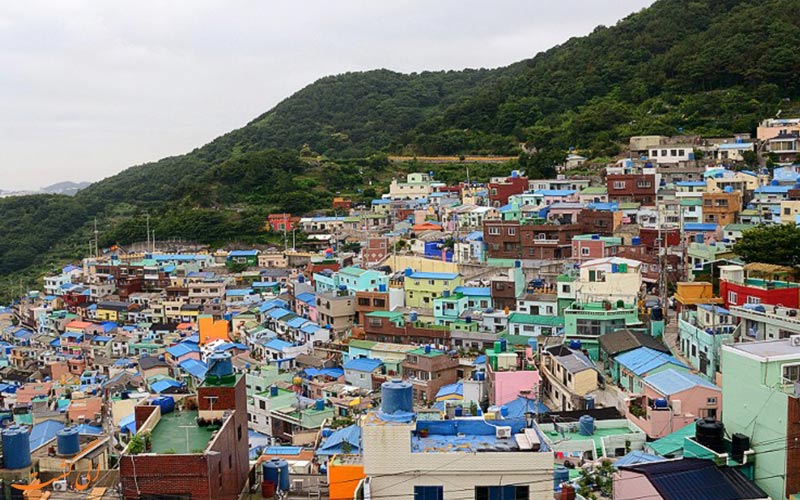 طبیعت بوسان طبیعت بوسان