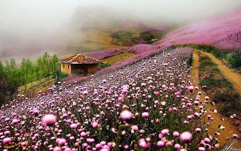 جاذبه های تالش گیلان بهترین مناطق شمال-جاذبه های تالش گیلان