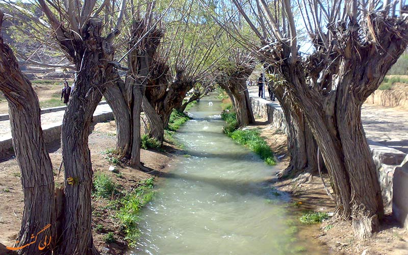 سرو-مهریز سرو-مهریز