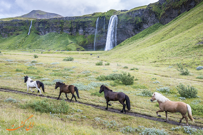 آبشار Seljalandsfoss در ایسلند آبشار Seljalandsfoss در ایسلند
