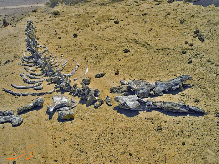 قبرستان وال ها مصر قبرستان وال ها مصر