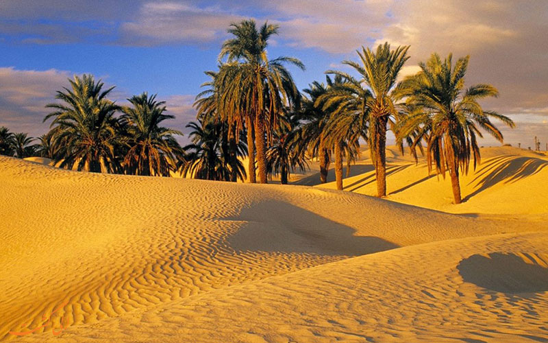 بیابان تونس بیابان تونس