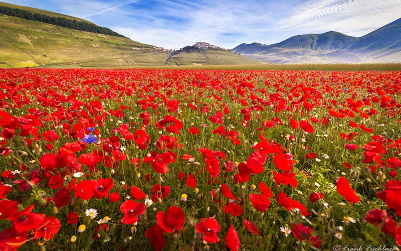 دهکده Castelluccio دهکده Castelluccio