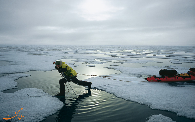 قطب شمال | Arctic Pole قطب شمال | Arctic Pole