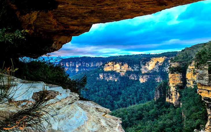 کوهستان آبی استرالیا کوهستان آبی استرالیا