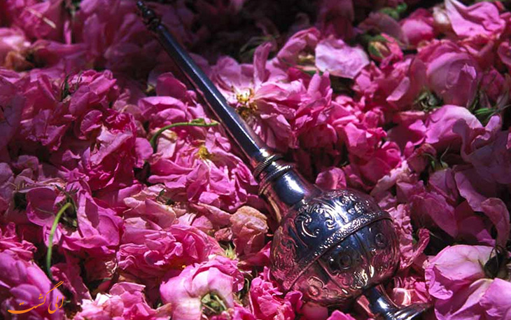 گلاب گیری در کاشان گلاب گیری در کاشان