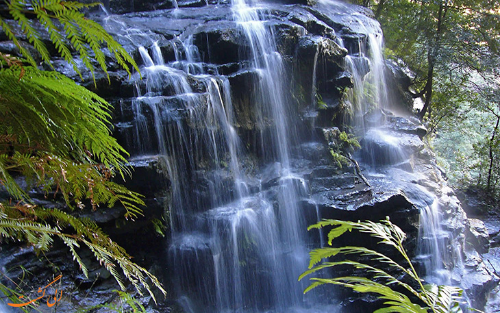 کوهستان آبی در استرالیا کوهستان آبی در استرالیا