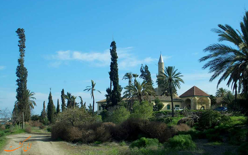 نمایی دیگر از مسجد نمایی دیگر از مسجد