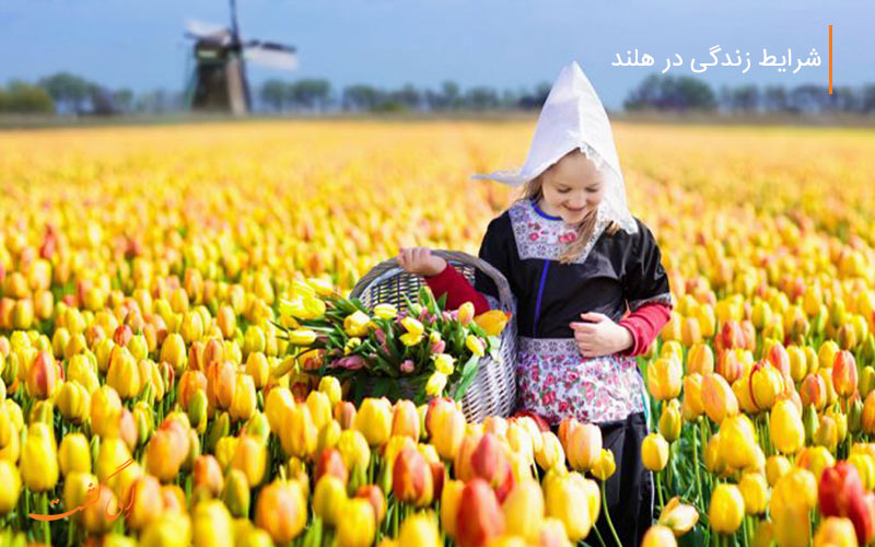 دختری هلندی که به صورت نمادین گل می چیند دختری هلندی که به صورت نمادین گل می چیند