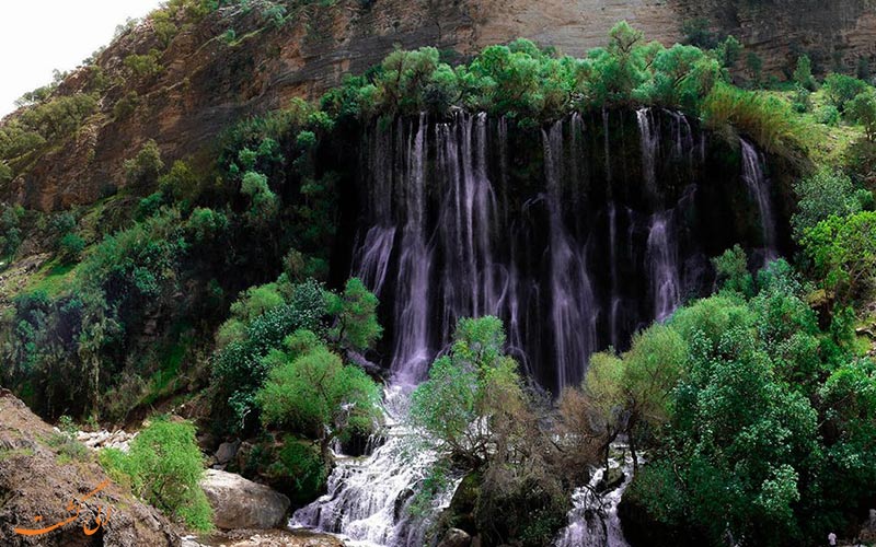 وارگ وارگ