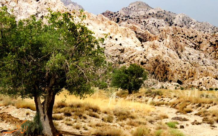 پارک ملی خبر پارک ملی خبر