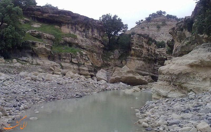 شکل گیری شکل گیری