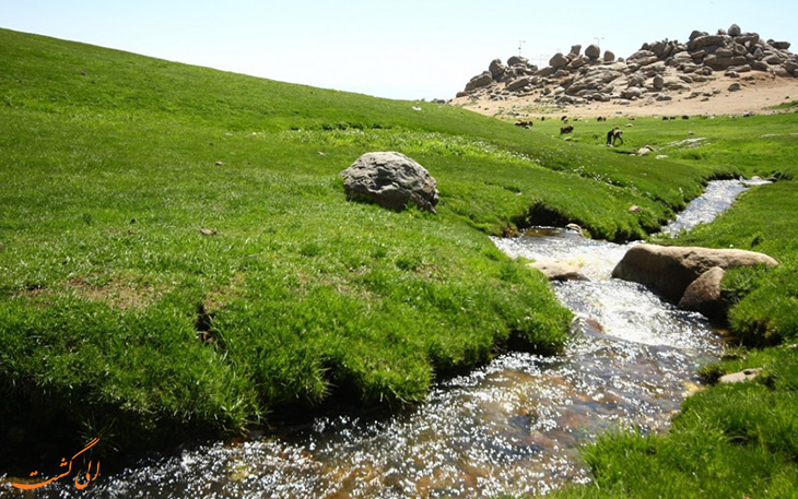 دشت میشان در همدان دشت میشان در همدان