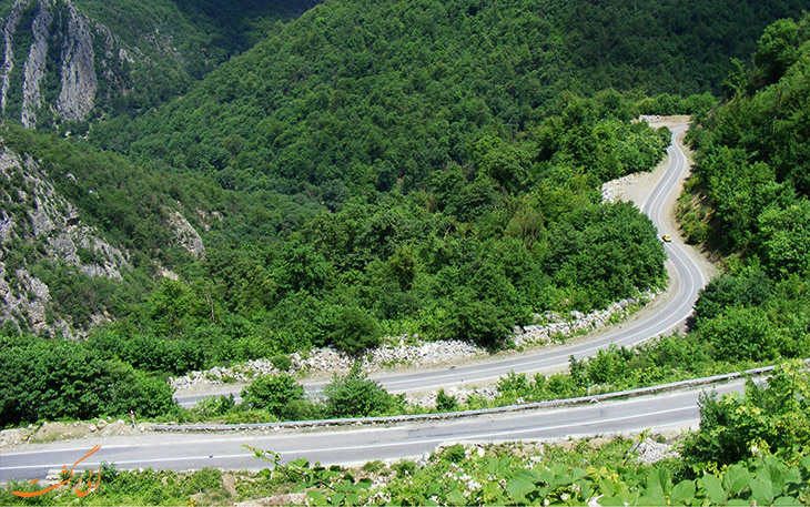 جنگل توسکستانی در استان گرگان جنگل توسکستانی در استان گرگان