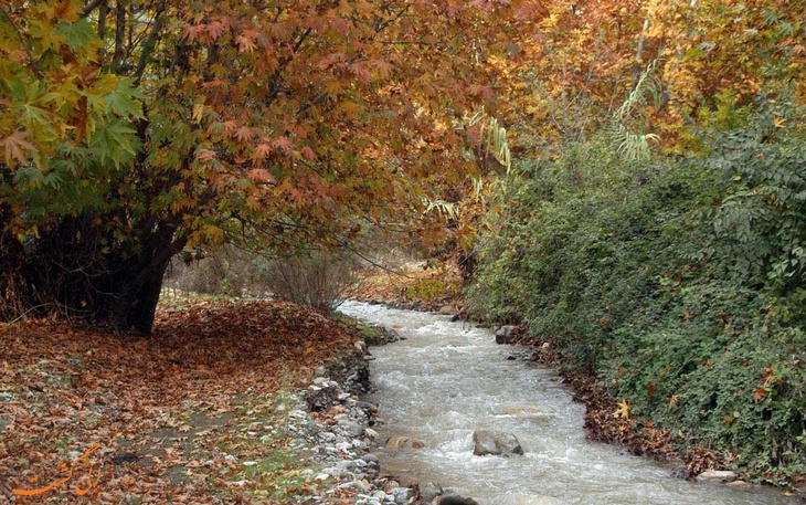طبیعت کنگ طبیعت کنگ
