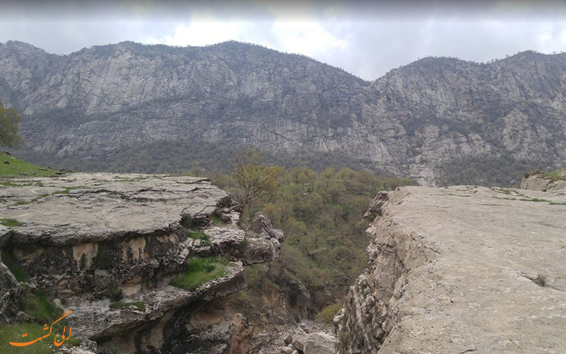 تنگ رازیانه تنگ رازیانه