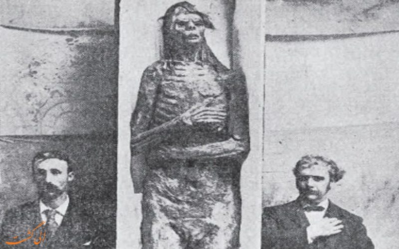 اسکلت سان دیگو اسکلت سان دیگو