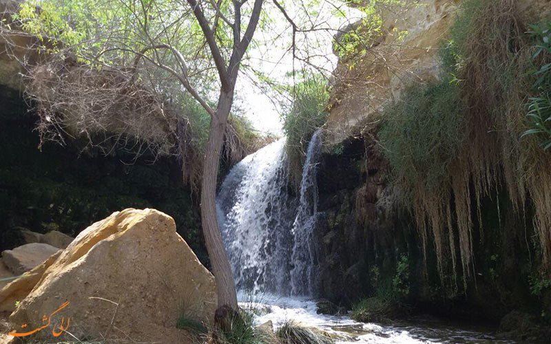 نام گذاری نام گذاری