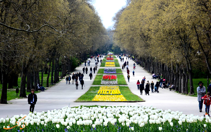 باغ دریایی وارنا در بلغارستان باغ دریایی وارنا در بلغارستان