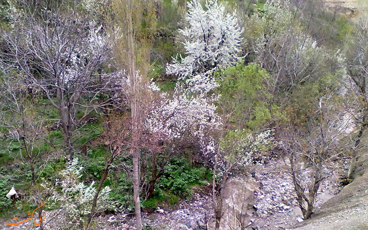 روستای همه جا روستایی دیدنی روستای همه جا روستایی دیدنی