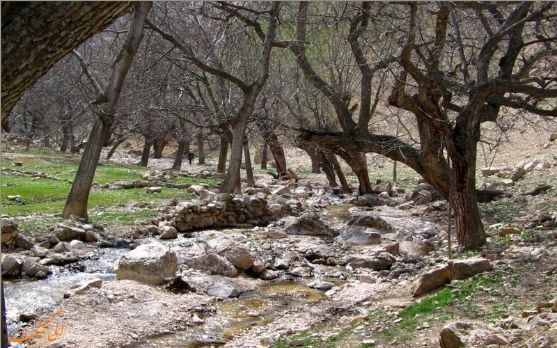 طبیعت روستای اخلمد طبیعت روستای اخلمد
