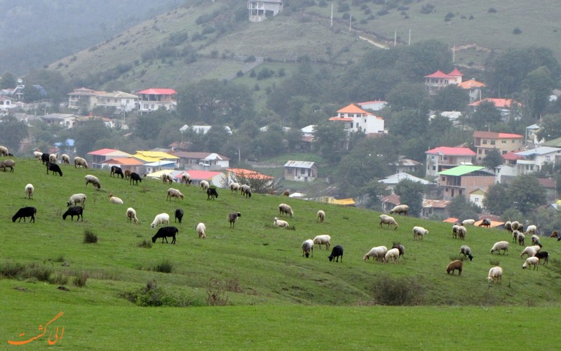 ییلاق زیبای فیلبند ییلاق زیبای فیلبند