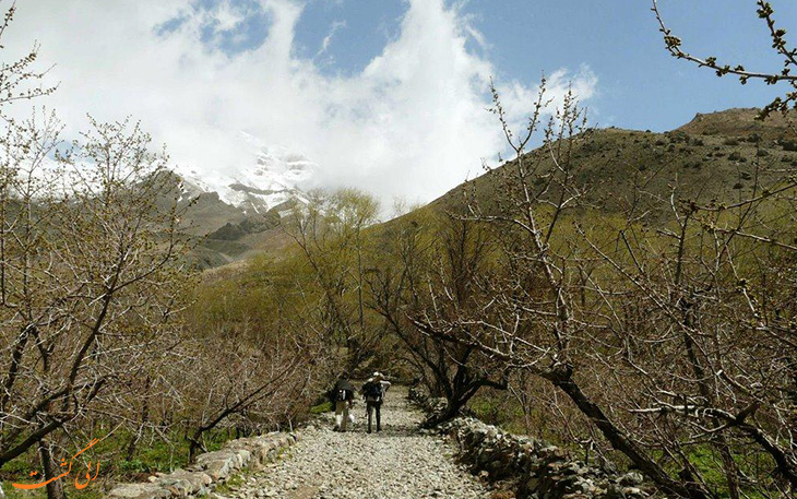 روستای افجه روستای افجه
