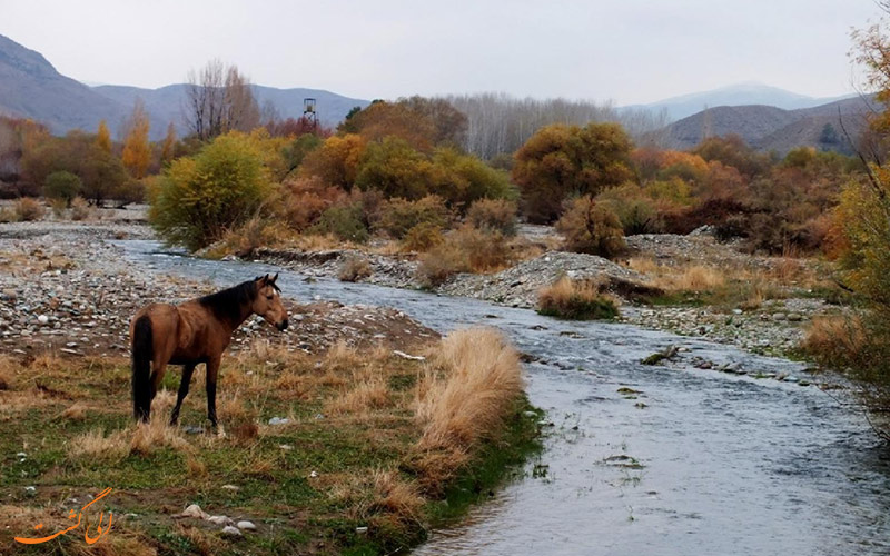 پارک ملی خجیر پارک ملی خجیر