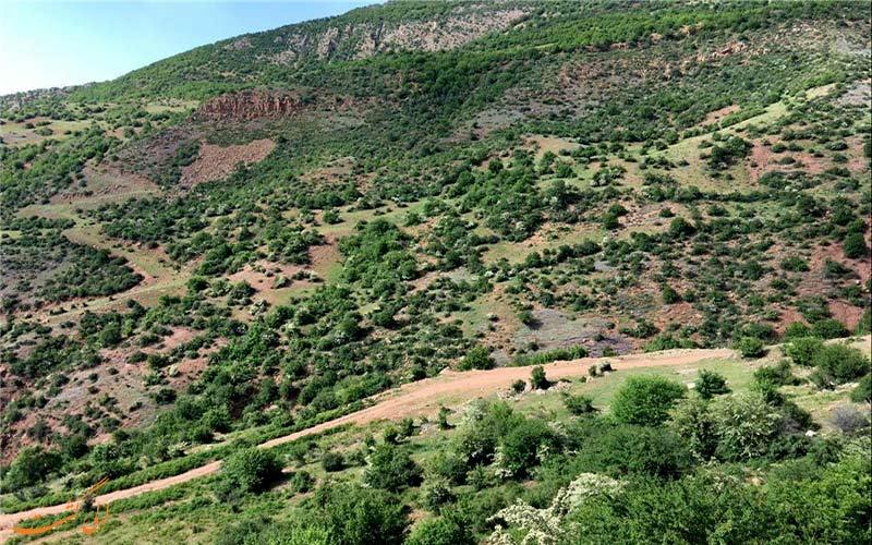 پارک-ملی-پابند-پارک های ملی ایران پارک-ملی-پابند-پارک های ملی ایران