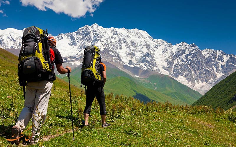 طبیعت گردی یک روزه طبیعت گردی یک روزه