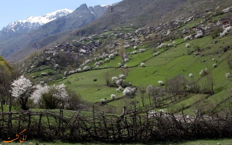 ییلاق زیبای ناتر ییلاق زیبای ناتر